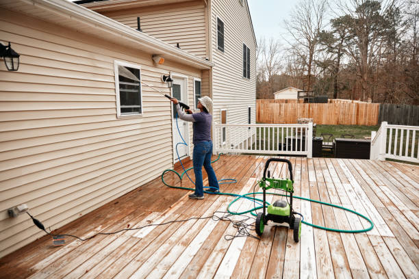 Best Roof Pressure Washing  in Wayland, MI