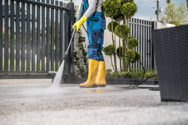 Best Pressure Washing Contractors  in Wayland, MI
