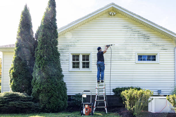 Best Residential Pressure Washing Services  in Wayland, MI