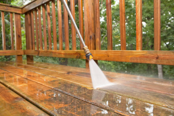Best Affordable Pressure Washing  in Wayland, MI