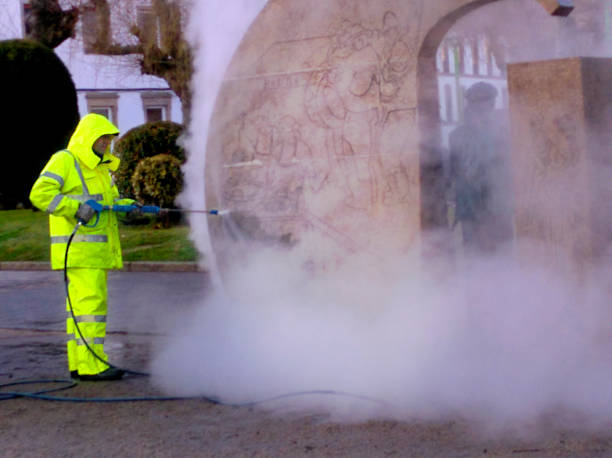 Best Roof Power Washing Services  in Wayland, MI