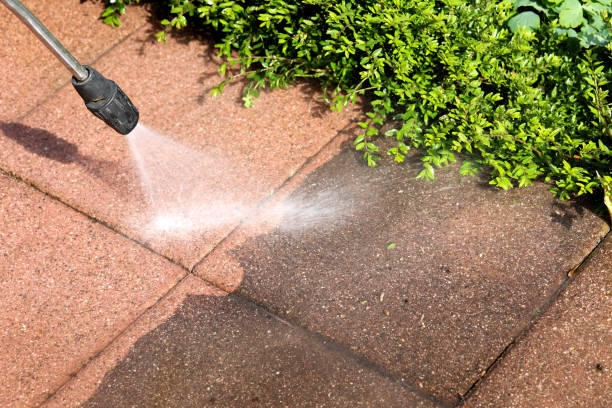 Best Affordable Power Washing  in Wayland, MI